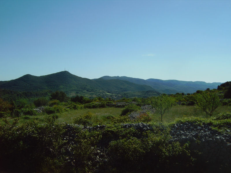 Bedarieux